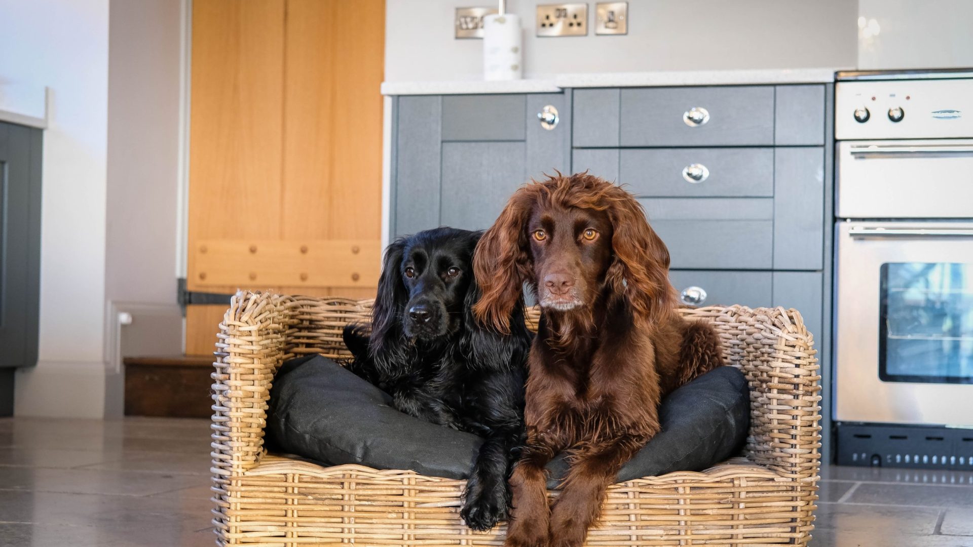 Dog Friendly Lodges in North Yorkshire