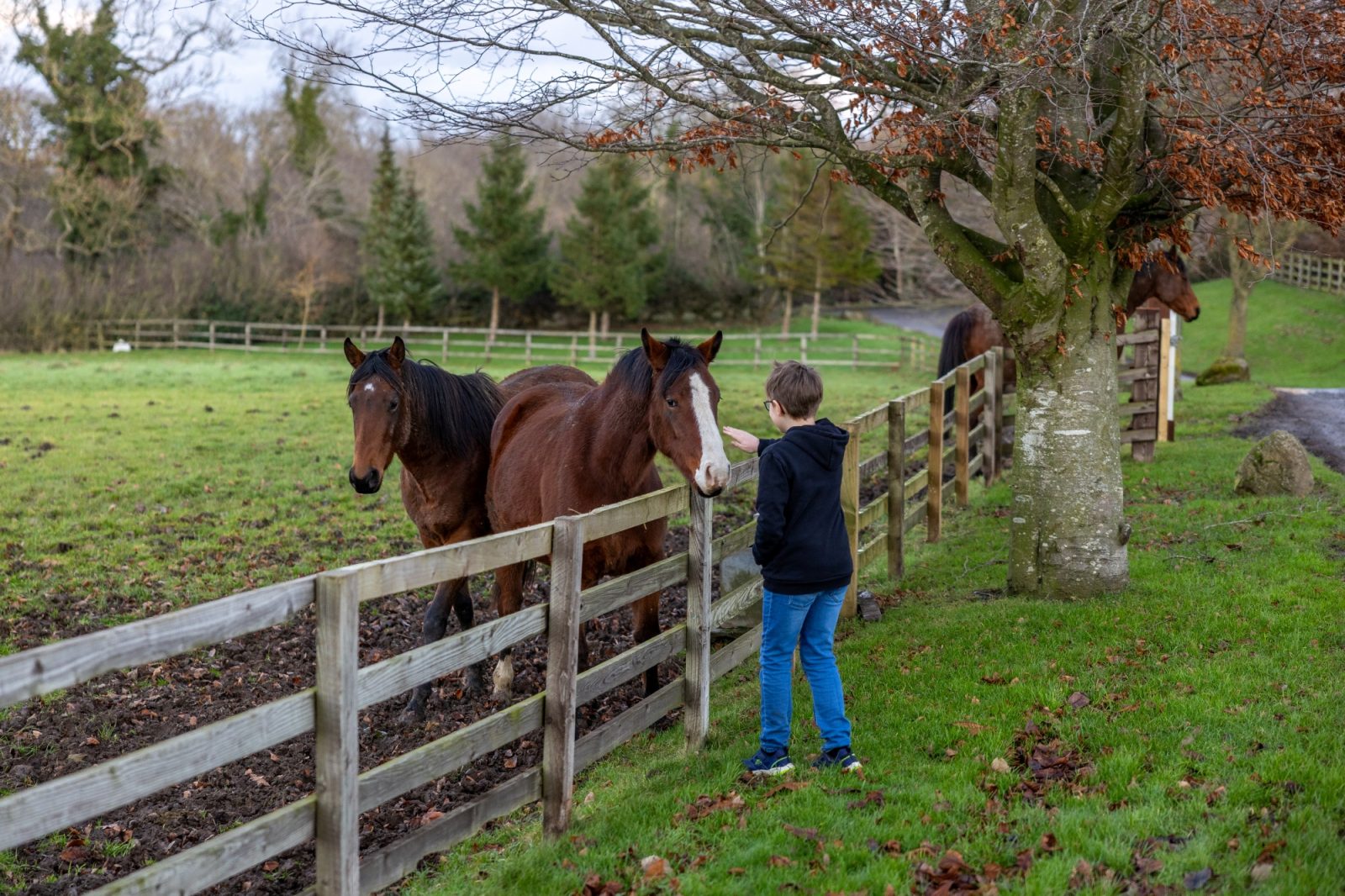 farm stays uk